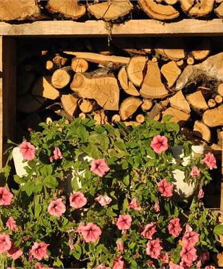 Cultura del legno
